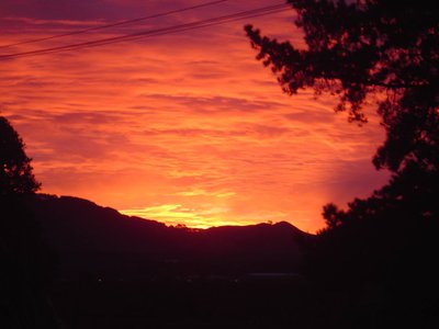 holocene... photo
