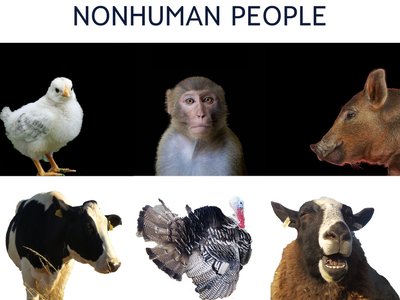 Pianomike - EP Single "Nonhuman People"