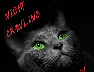 Album artwork for 'Night Crawling', lead single off the 'Planted' album.