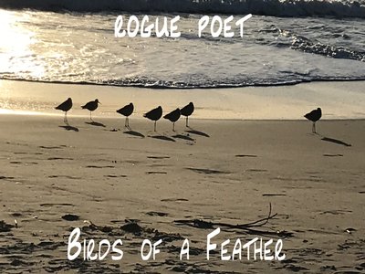 Rogue Poet photo