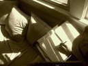 The Writing Window