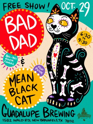 Mean Black Cat photo