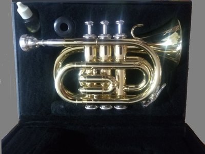 Holton T-650