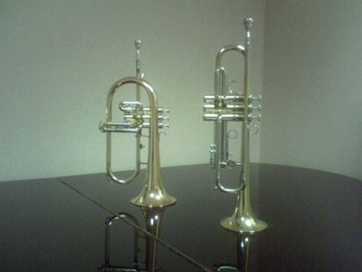 Holton F-555 & ST-302