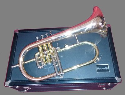 Holton F-555