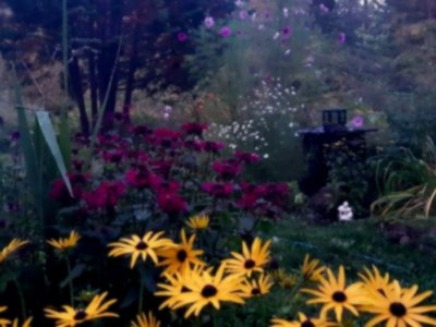 Voodoo Garden photo