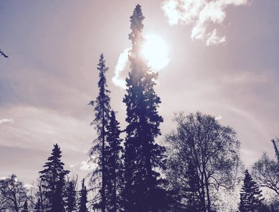 Fall in Alaska.
