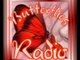 Butterflies Radio - All Indie, All the Time