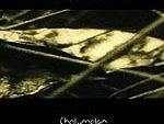 Cholymelan