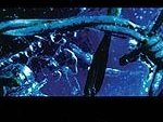 Psychoma?