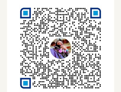 PayPal verify payment