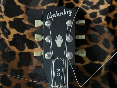 Underdog photo