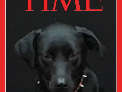 Underdog photo