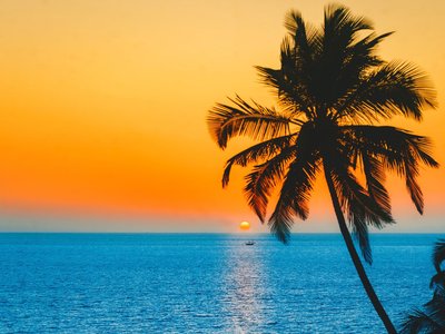 Scott Parmer photo