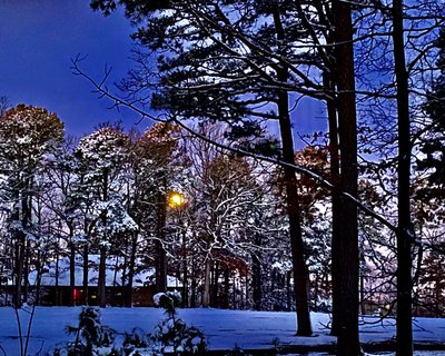 Debbie Kauble photo