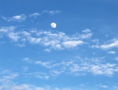 High Moon