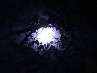 Faerie Moon