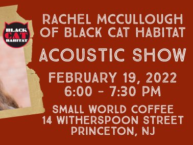 Black Cat Habitat photo