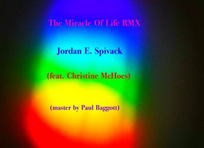 The Miracle Of Life RMX single cover