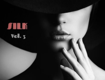 Silk Vol 3
