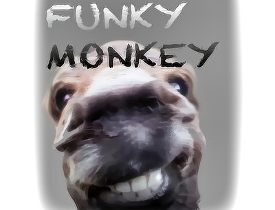 Groove Hounds photo