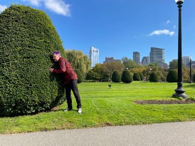 Boston Public Gardens