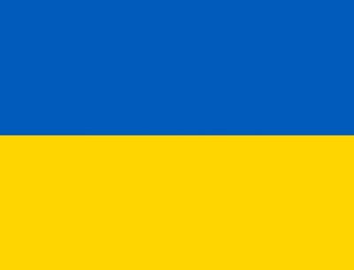Mr. Putin Ukraine