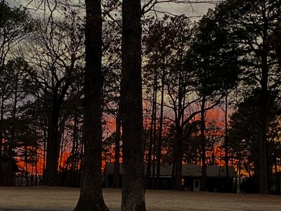Debbie Kauble photo