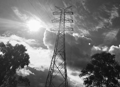 Oxley Common, Queensland