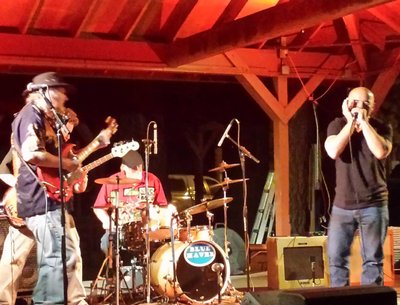 Blue Haven Blues Band photo
