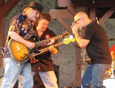 Blue Haven Blues Band photo