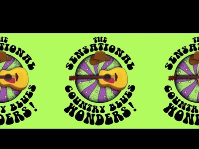 The Sensational Country Blues Wonders! photo