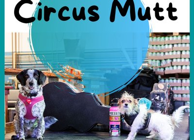 Circus Mutt photo