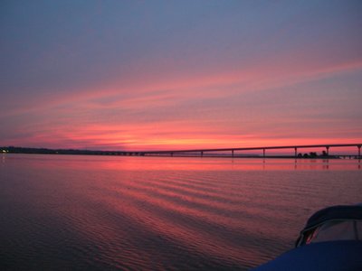 Scott Perkins photo
