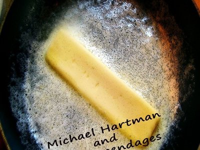 Michael Hartman and the Appendages photo