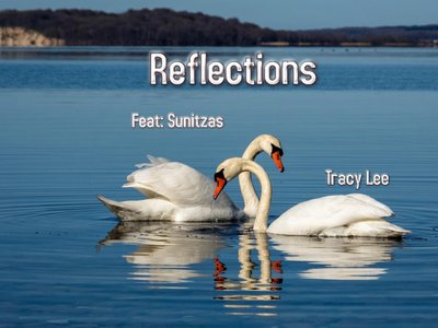 Tracy Lee photo
