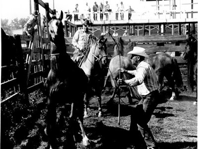 Working behind the chutes