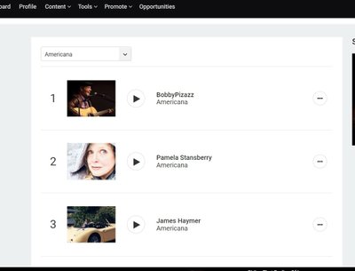 TOP 3 on Reverbantion ... #1Nashville N1M.com when you see your family from a distance and they know
