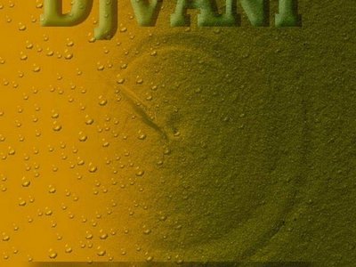 DJVANI photo