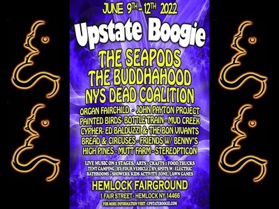 Sat, June 11th Buddhahood at UPSTATE BOOGIE 2022~ www.heartbeatflx.com/boogie-tickets