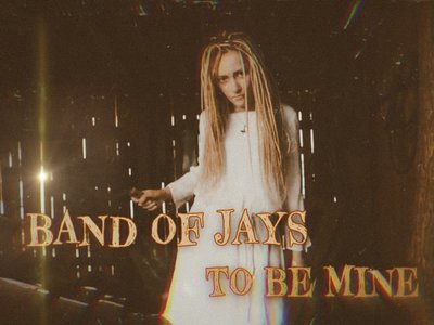 Band of Jays photo