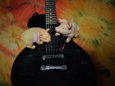 Garry Hall photo