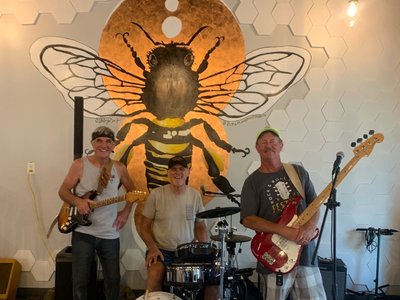 Bee Stingers at the Hive