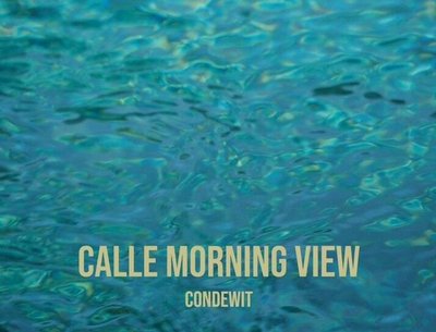 Single for the track "Calle Morning View," available now!