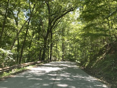 Debbie Kauble photo