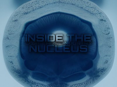Inside The Nucleus