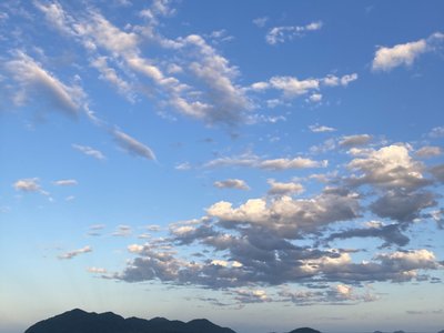 Dunk Island, North Queensland 