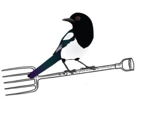 Magpie's Pitchfork photo