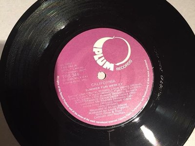 California- Summer Fun Medley Plum Records (South Africa) (1981)