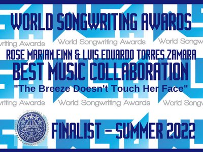 Top Ten finalist world songwriting awards